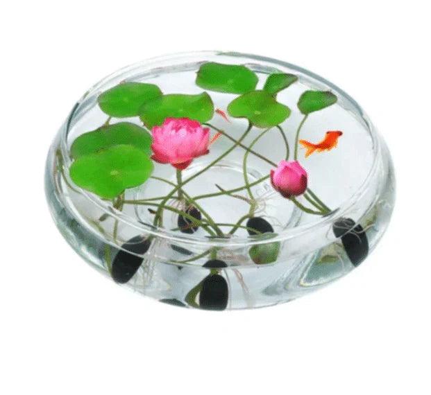 Premium Lotus Flower Seed-HR