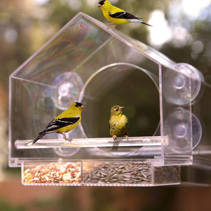 🐦👍👍👍 Ταΐστρα παραθύρων 🤩-GR